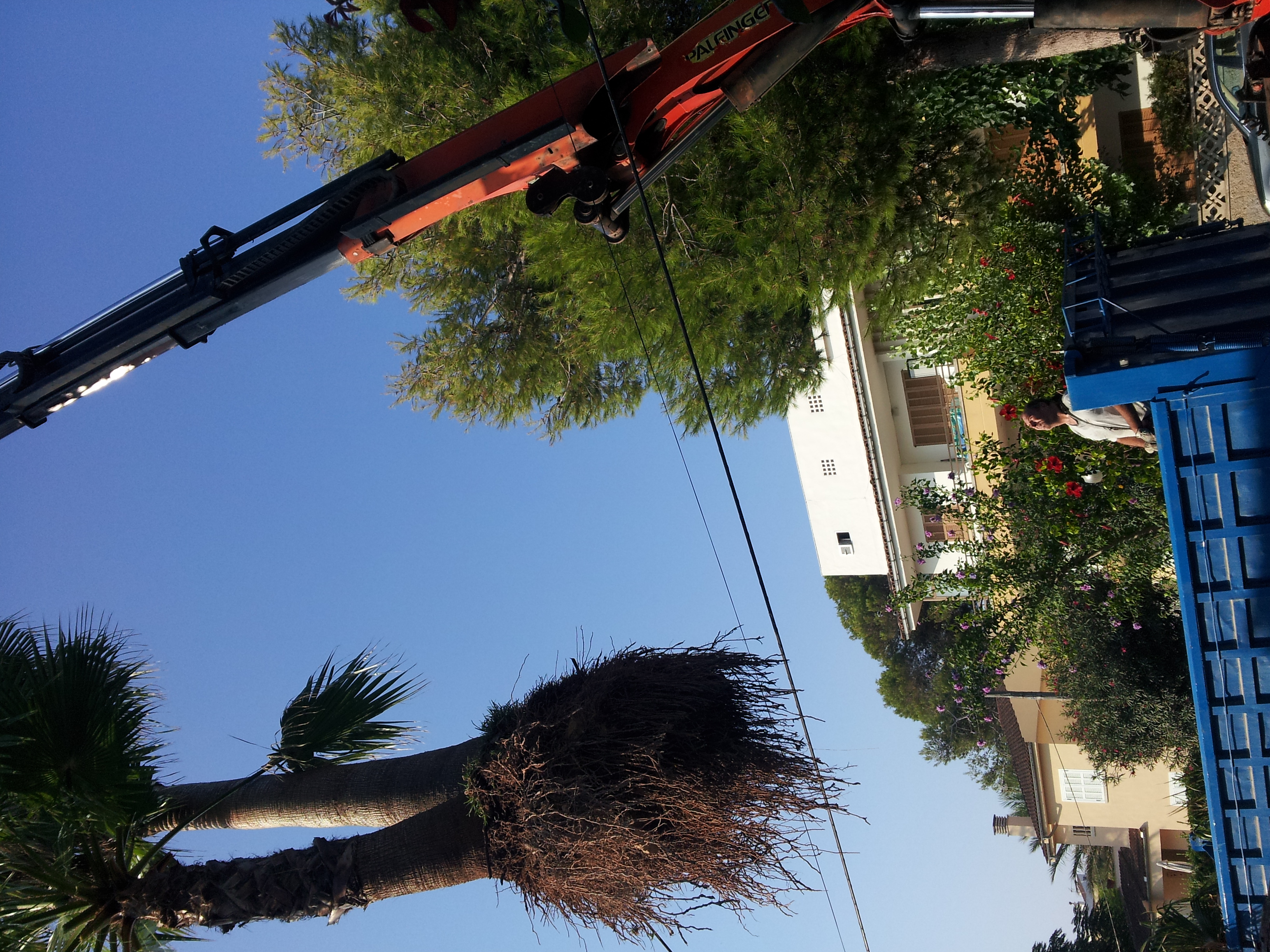 GRUA PALFHINGER 27 MTS / 44 TN 