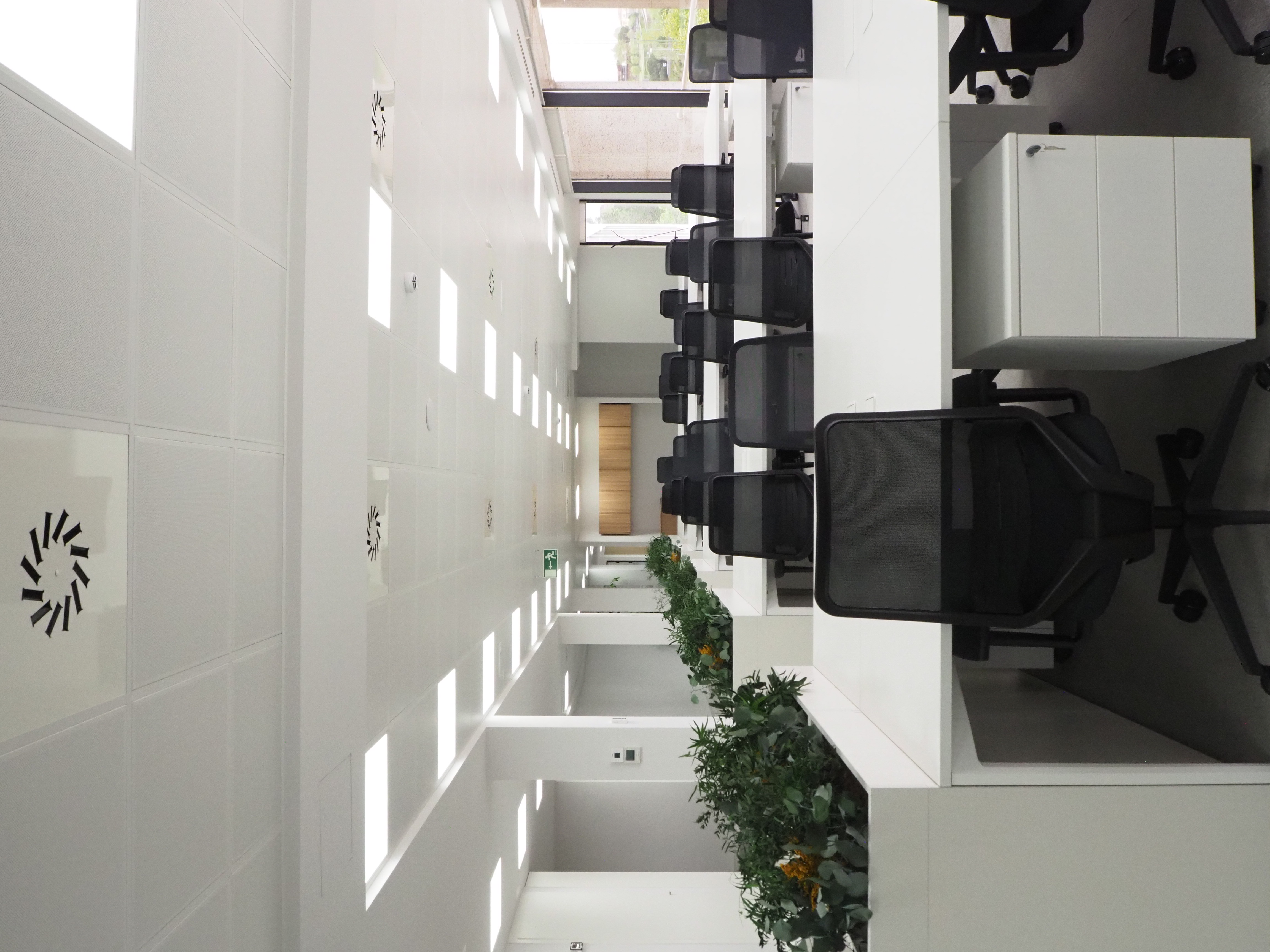 Open Space - Zona de trabajo