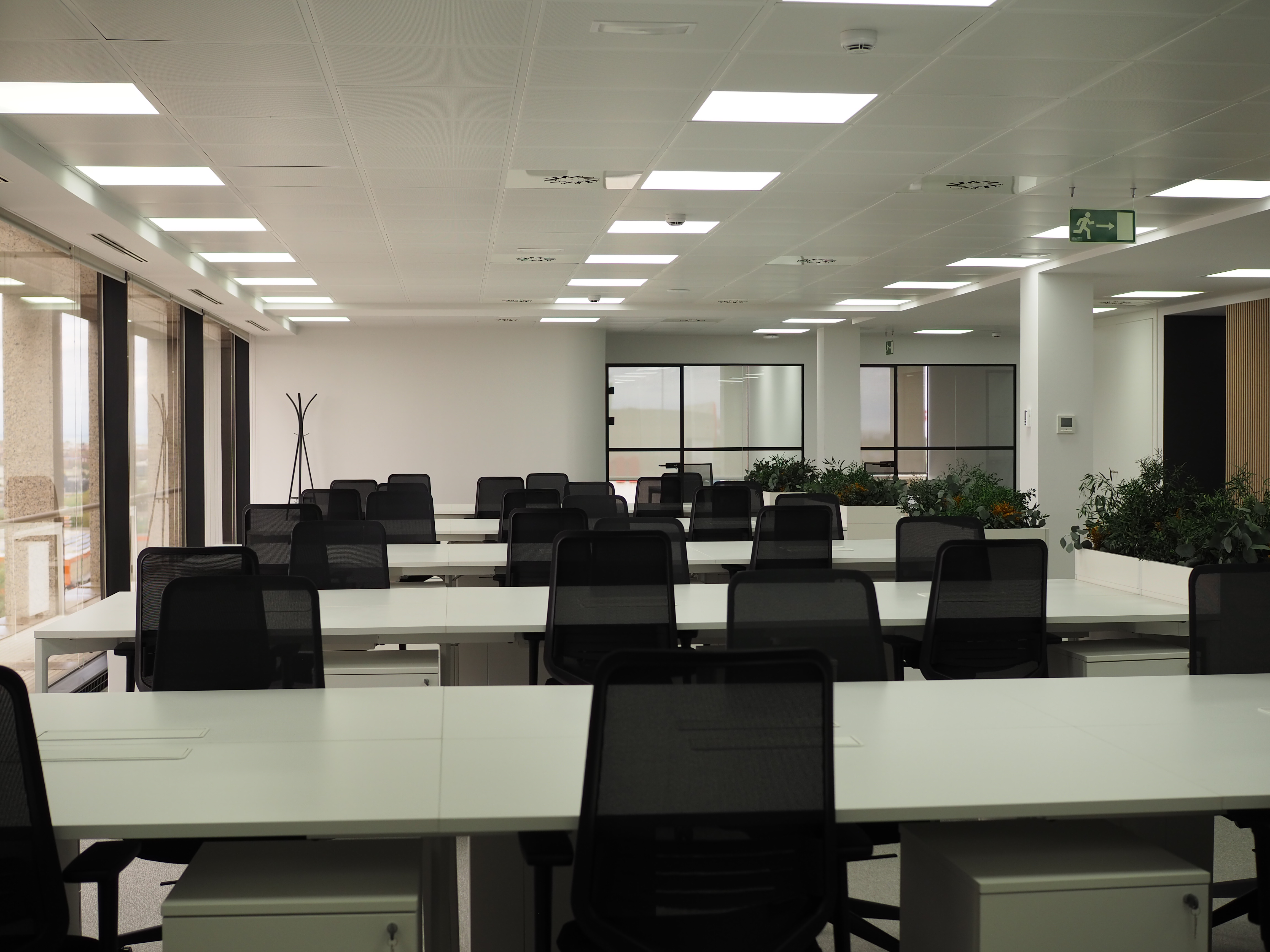 Open Space - Zona de trabajo