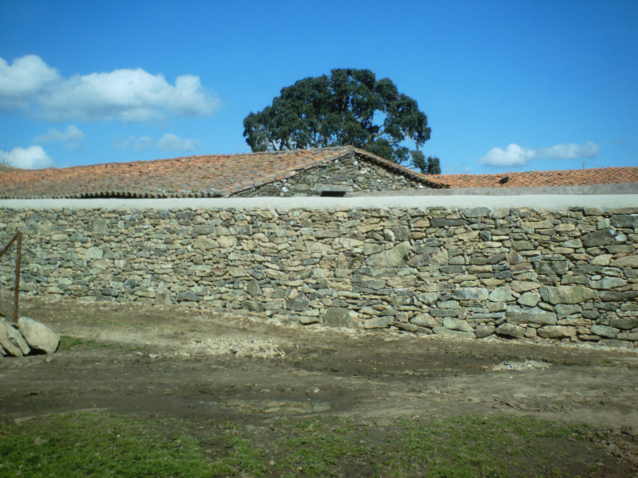 pared de finca