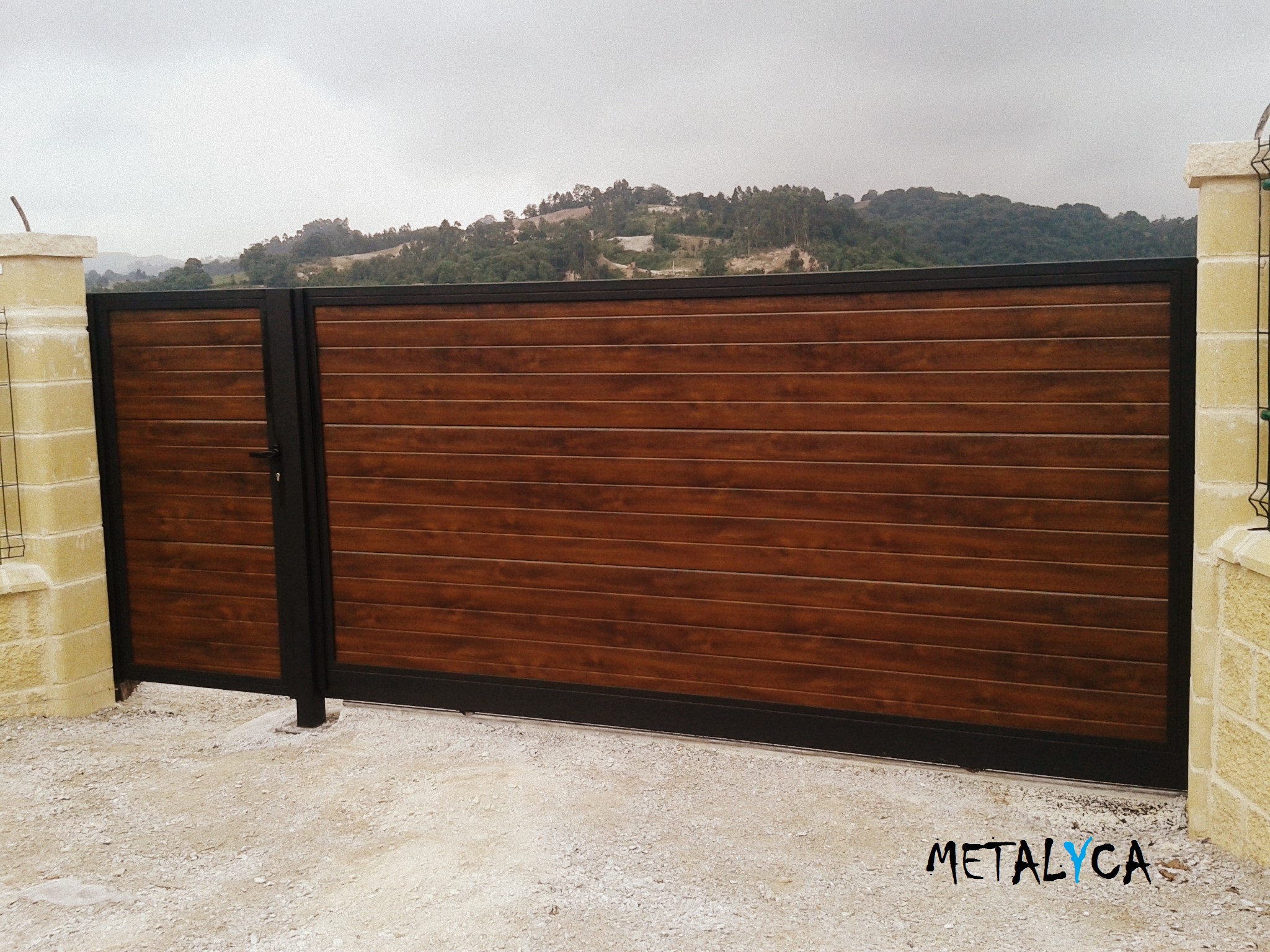 Portón y puerta peatonal