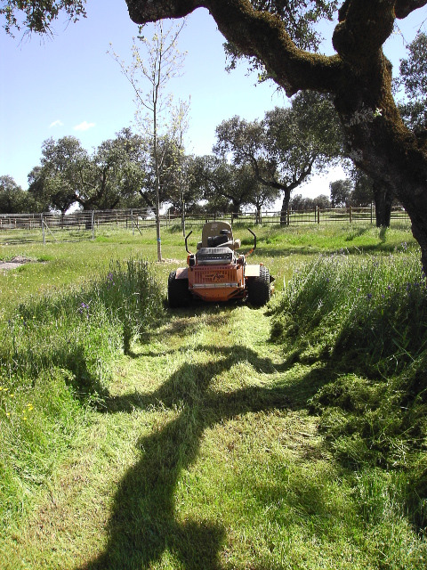 Desbroces y siegas mecánicos.