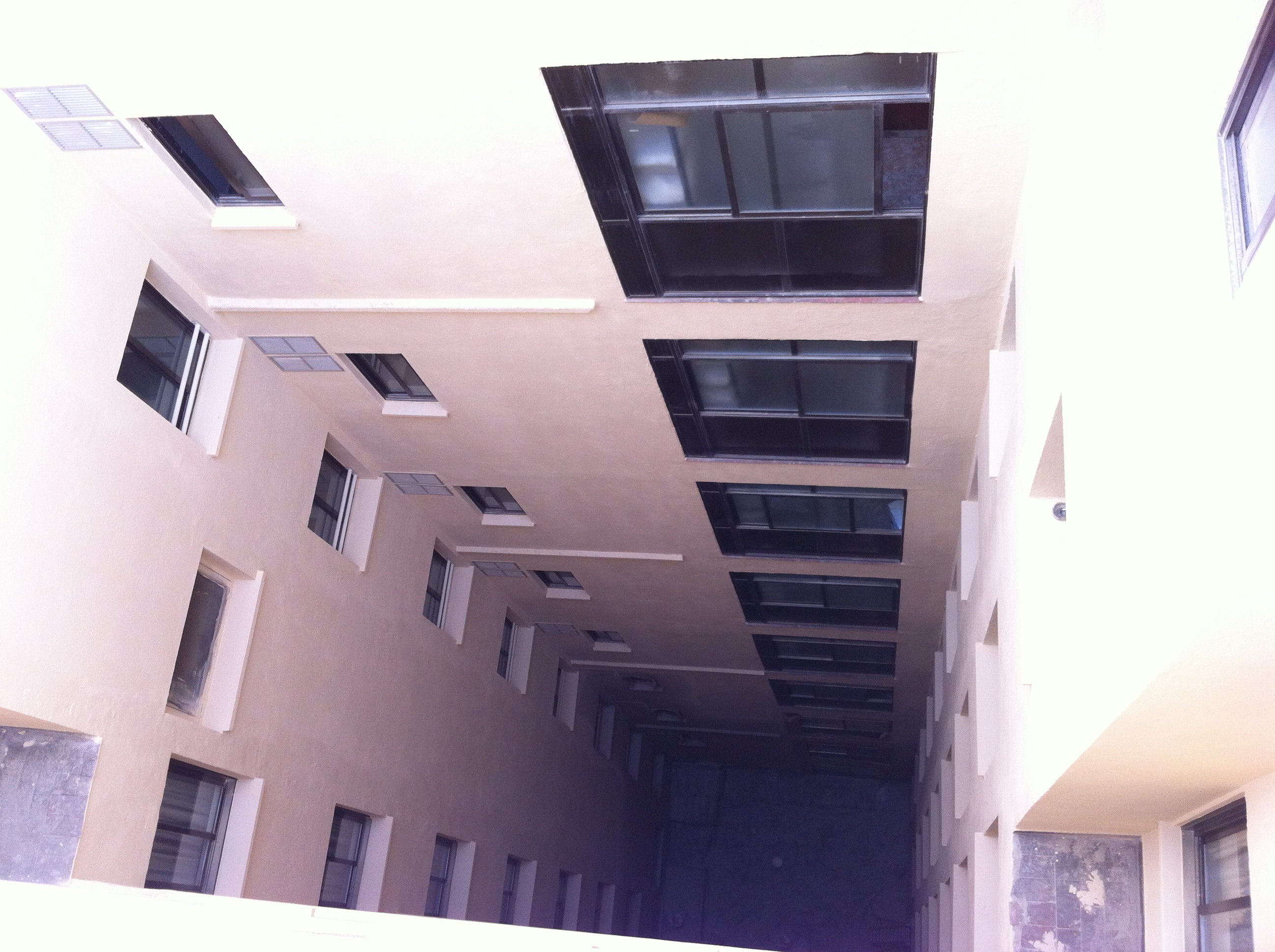 Pintura y arreglo de patios