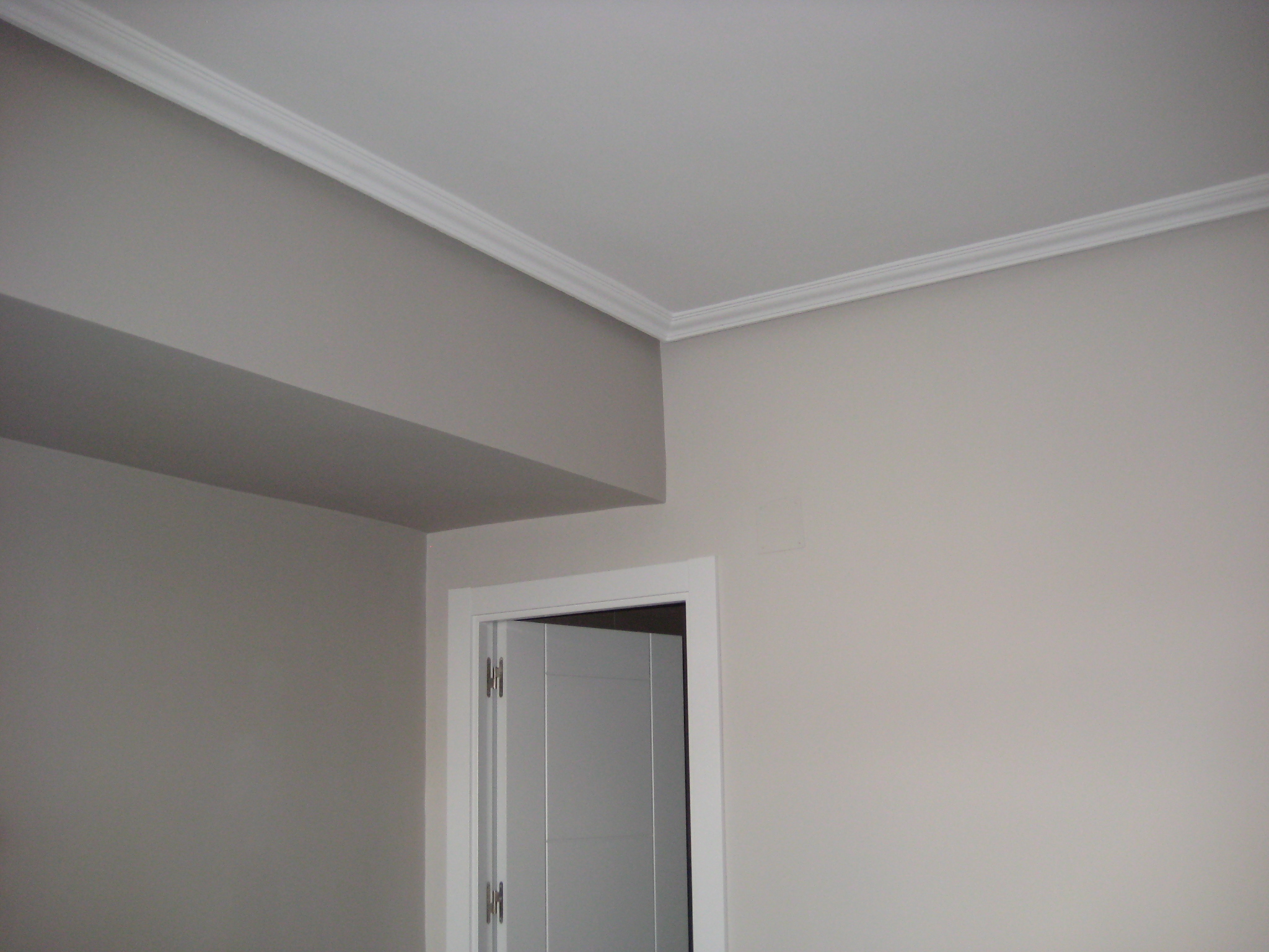 Pintura y Techo escayola