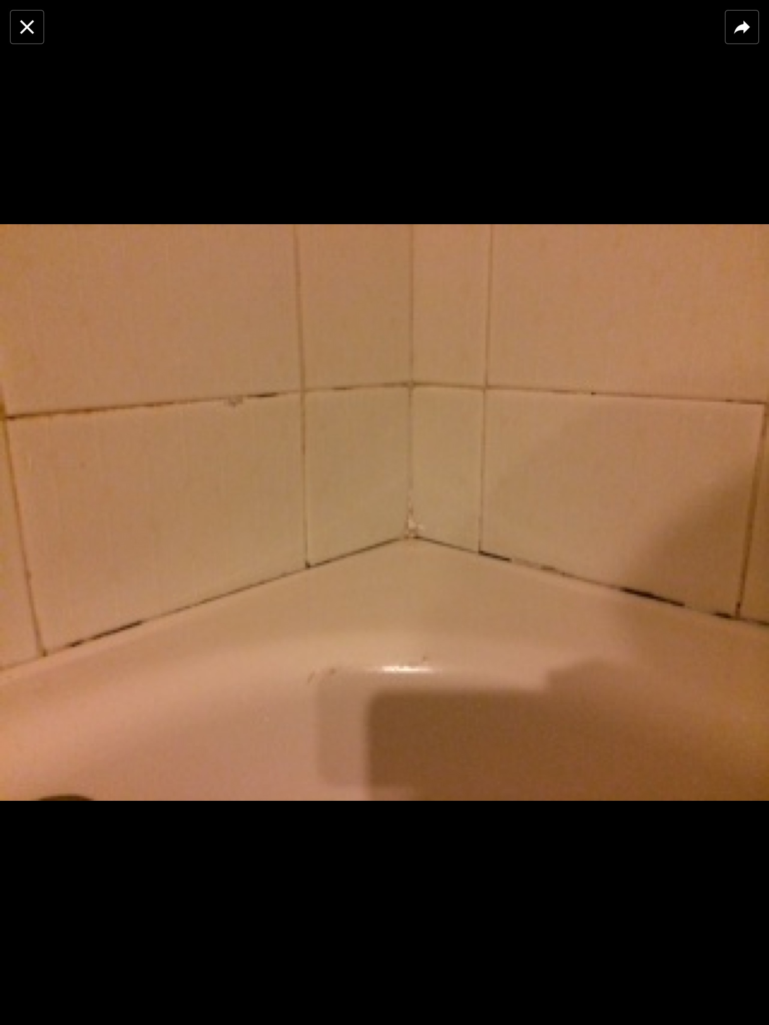 Reparación de filtraciones