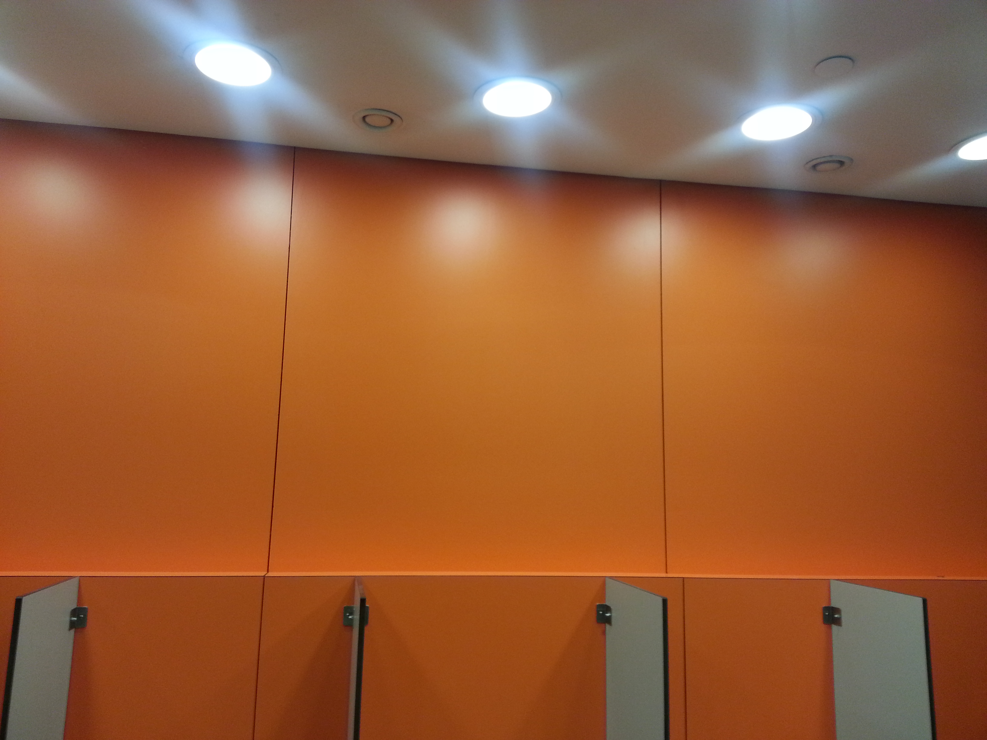 REVESTIMIENTO EN PANEL FENÓLICO