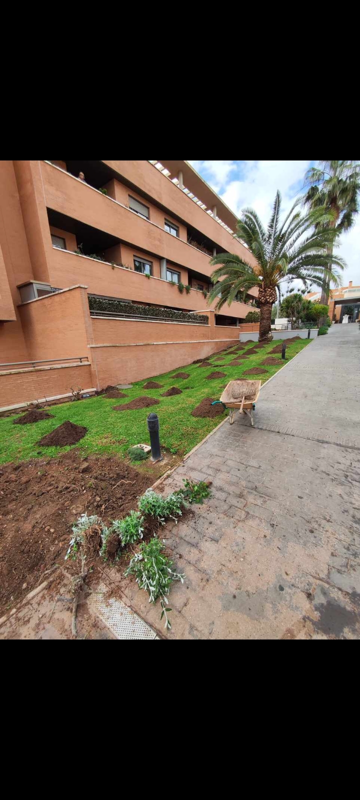 Puesta a punto de cesped