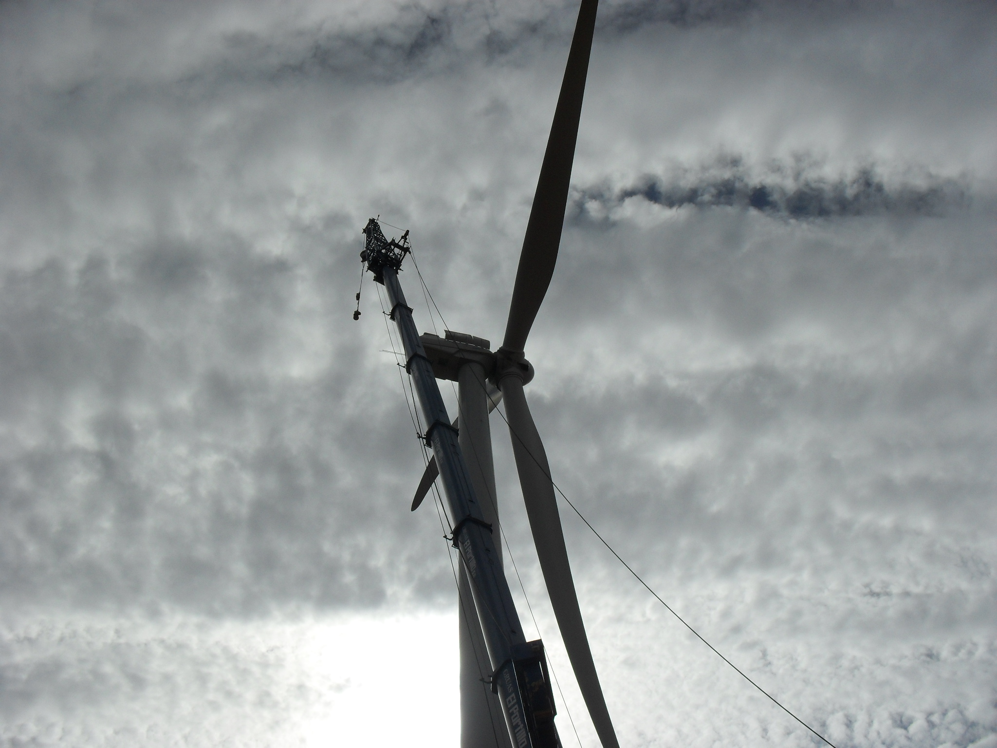 Cambio de Rodamiento Principal