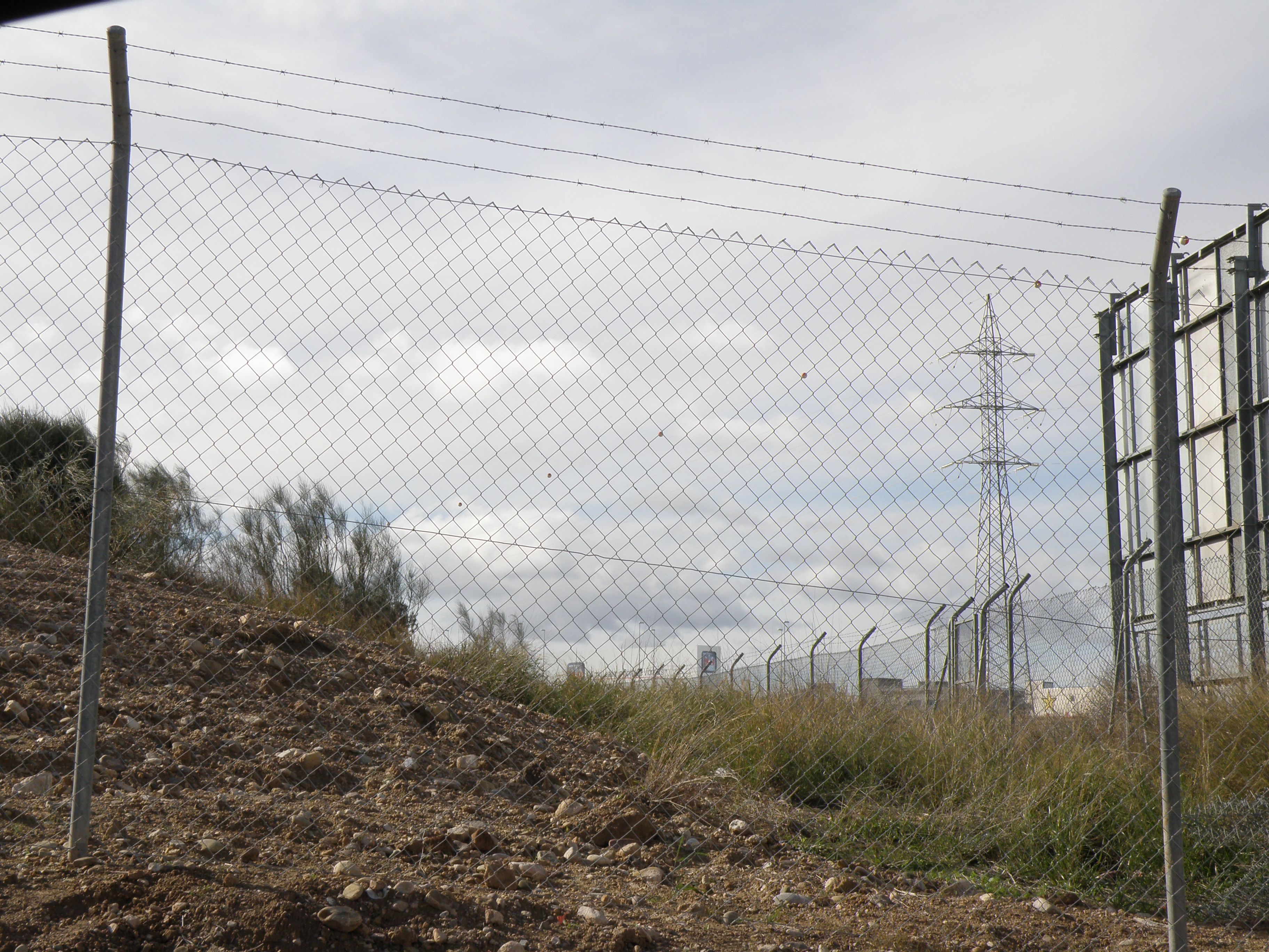 Simple torsión con espino