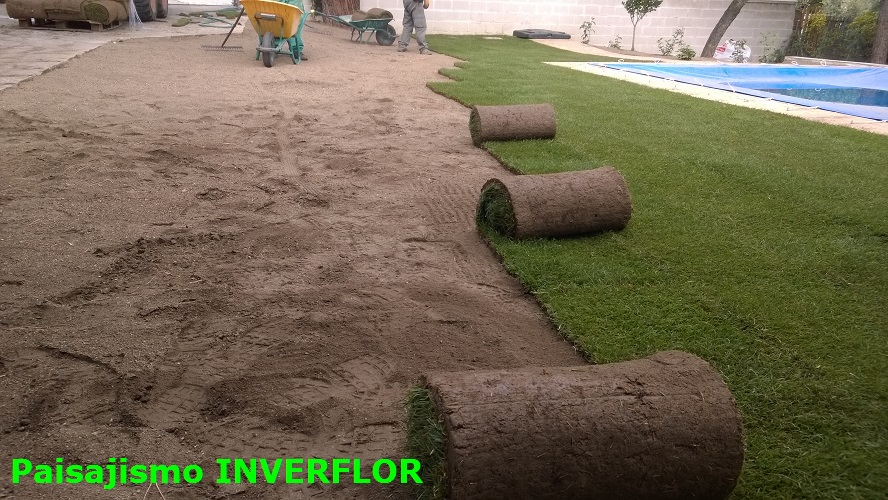 INSTALACIÓN DE TEPES DE CÉSPED NATURAL