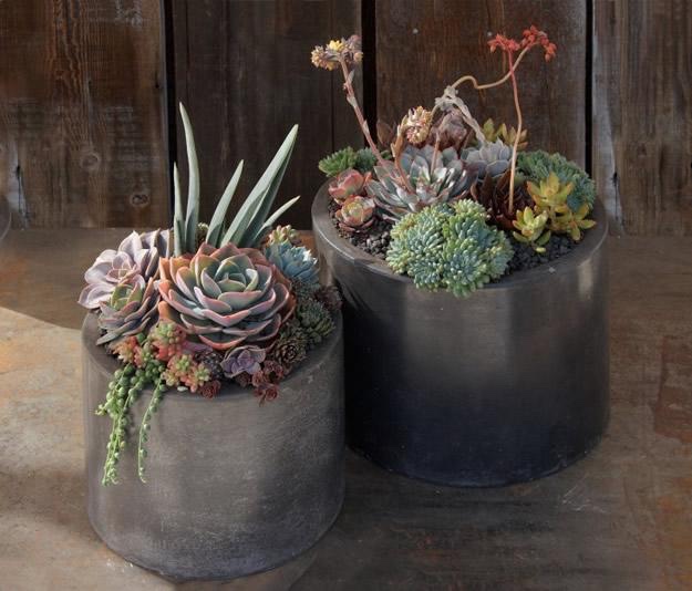 COMPOSICIONES DE GRAN TAMAÑO