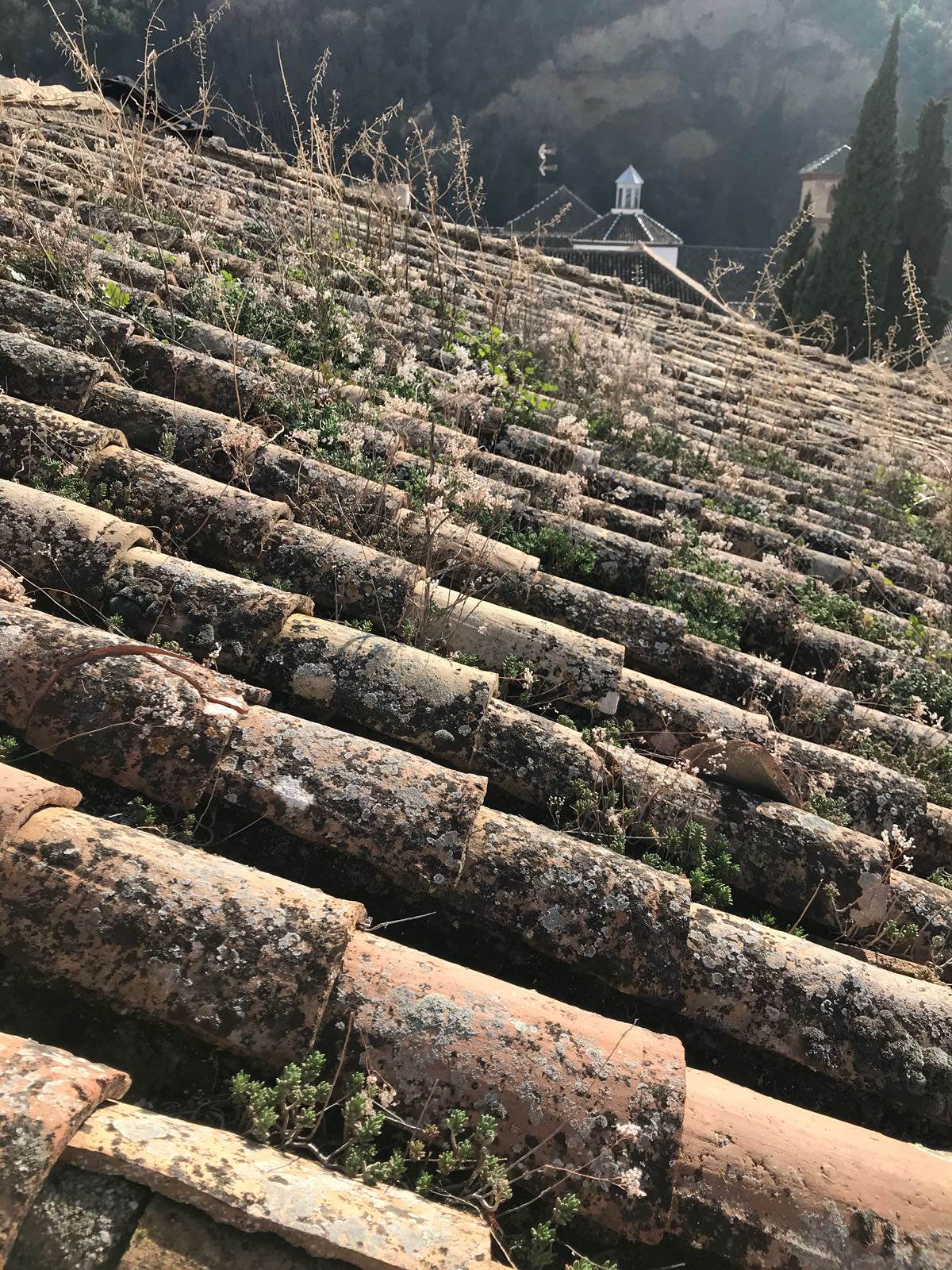 Limpieza de tejados y colocación de canales en el Albayzin,,