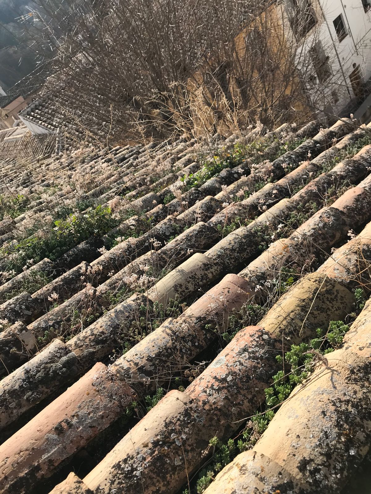 Limpieza de tejados y colocación de canales en el Albayzin,,