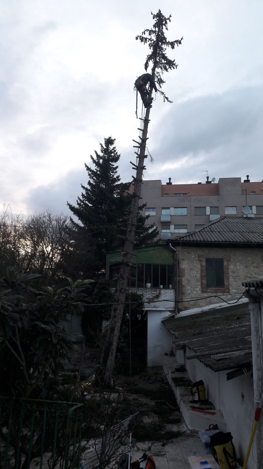 Tala controlada por secciones