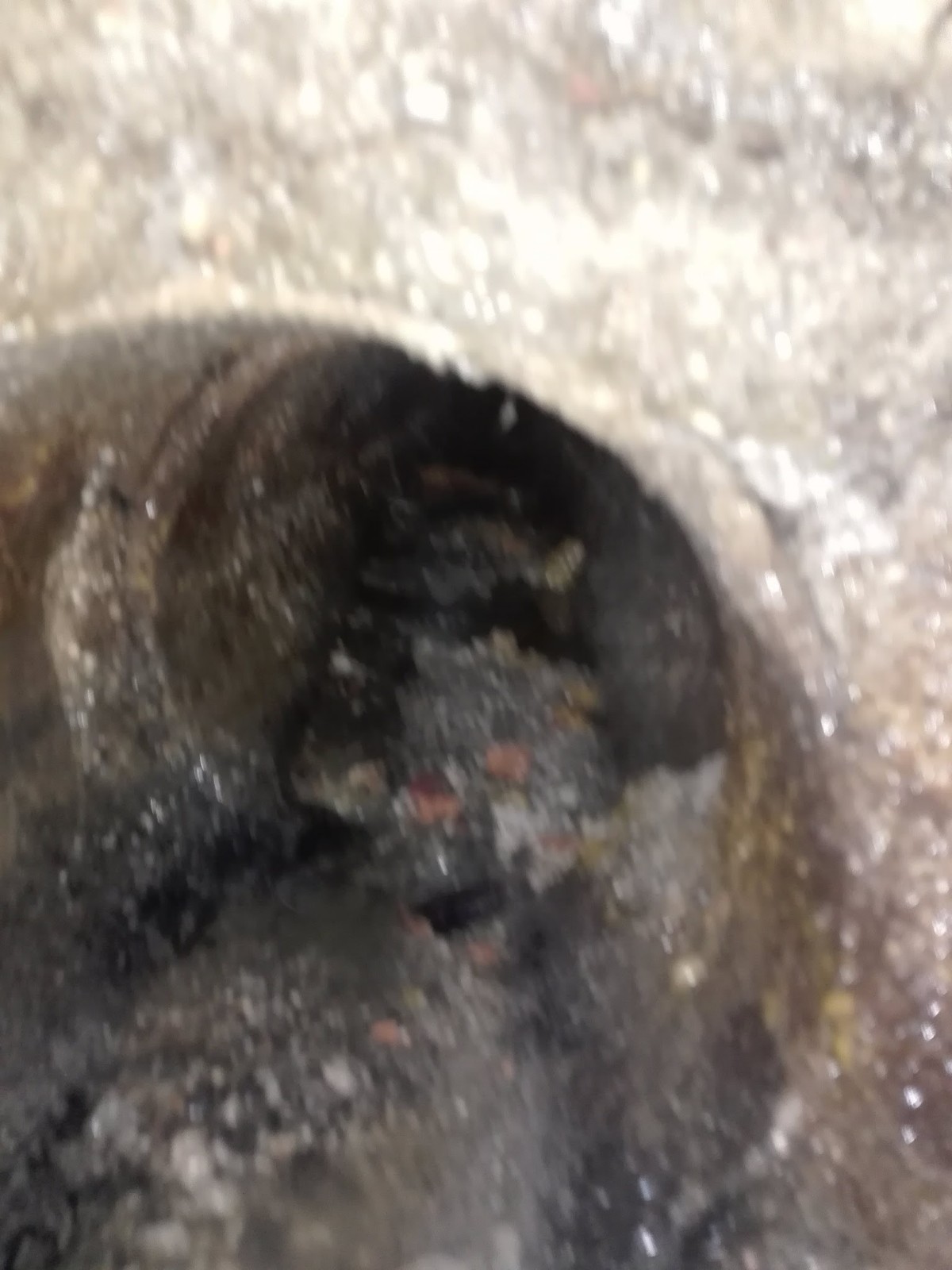 vista con micro camara