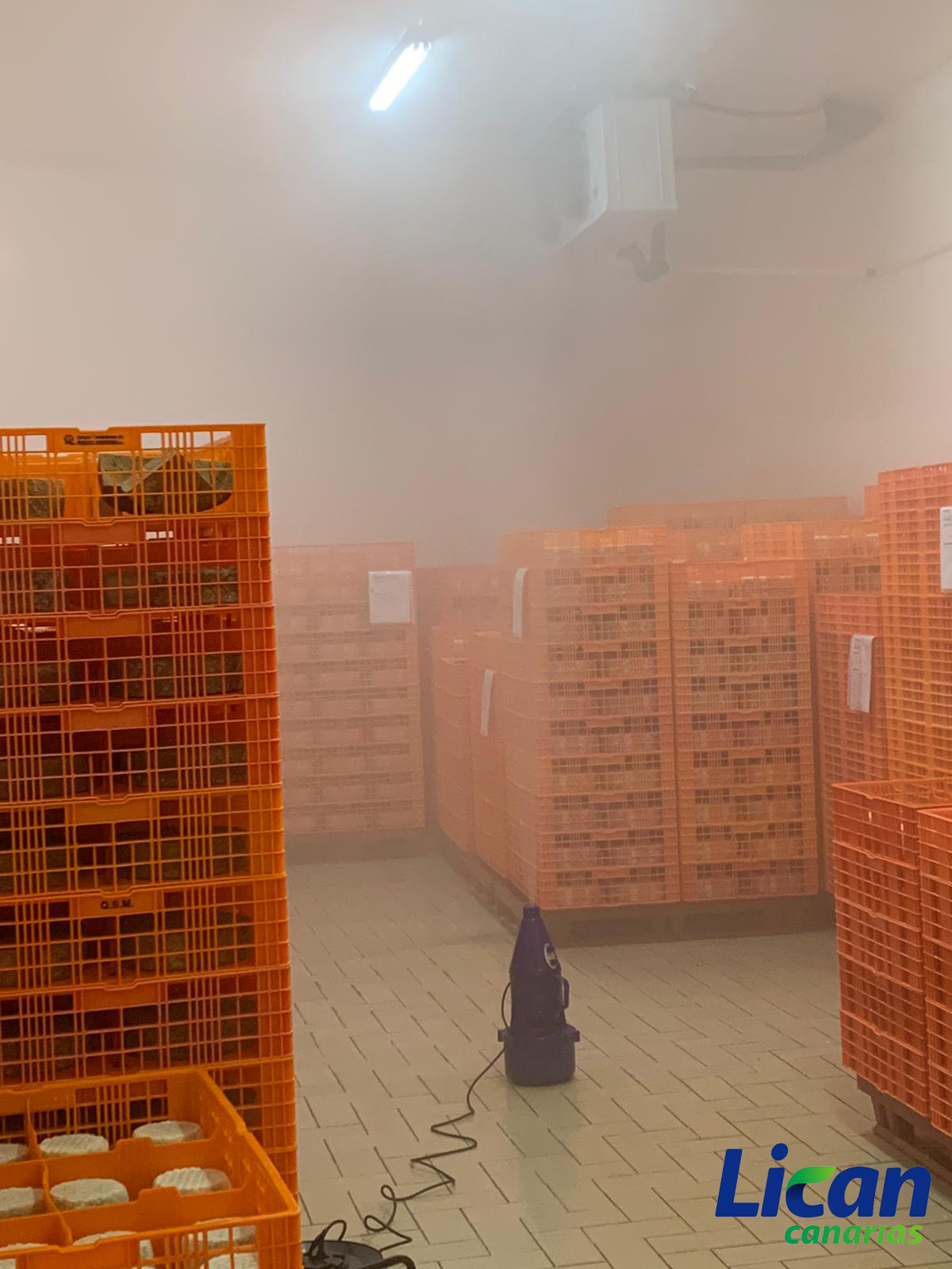 Desinfección ambiental ecológica