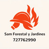Sam Forestal
