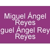 Miguel Ángel Reyes Reyes