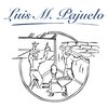 Luis Miguel Pajuelo
