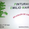 Pinturas Emilio Martín