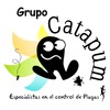 Grupo Catapum