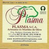 Muebles de olivo plasma