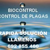 Biocontrol Control de Plaga Sl 