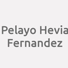 Pelayo Hevia Fernandez