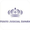 Perito Judicial España
