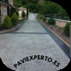 Paviexperto