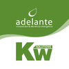Adelante Energía Y Kw Solutions