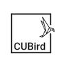 Cubird Studio