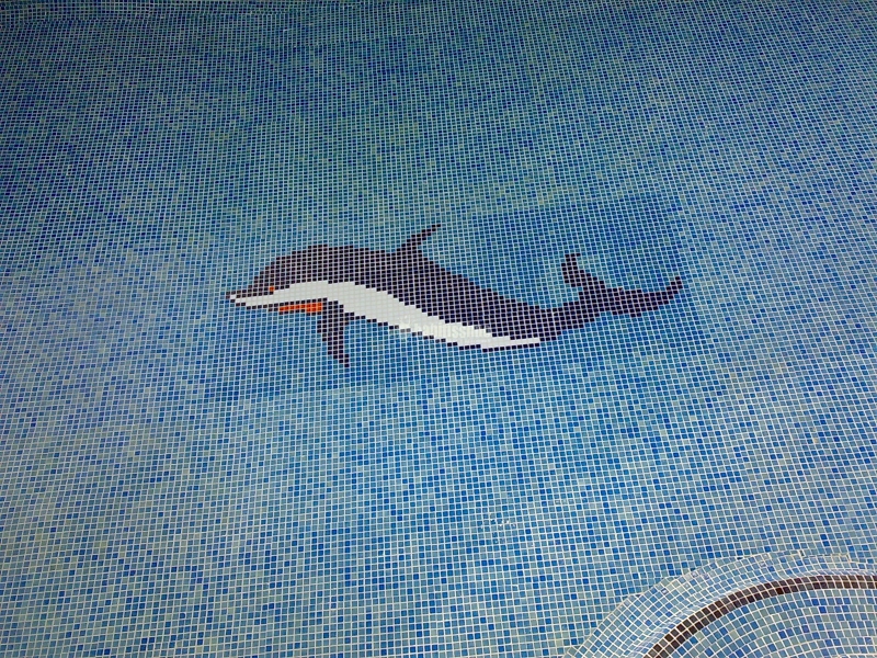 Oferta Alicatados De Piscinas 20 €/M2