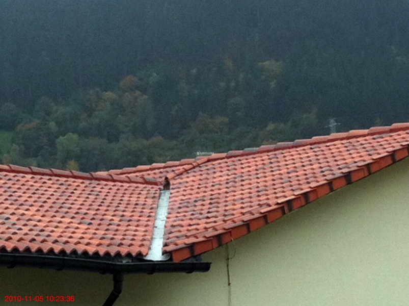 Seguro Que Mejoramos Cualquier Precio Que Tengas Hasta Un 20% 