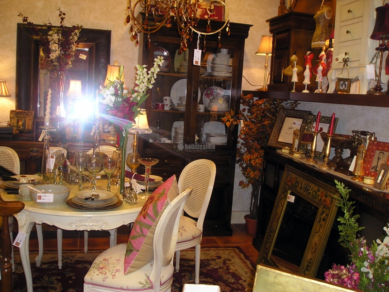 Oferta liquidación de exposición por renovación de catálogo hasta 50% 