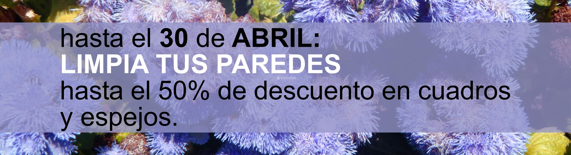 Ofertas 'Spring Cleaning' Hasta El 30 De Junio