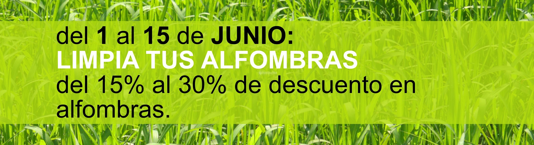 Ofertas 'Spring Cleaning' Hasta El 30 De Junio