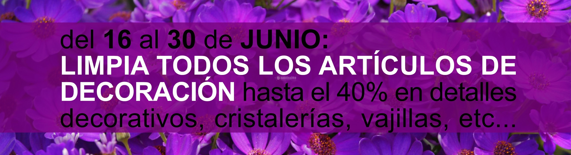 Ofertas 'Spring Cleaning' Hasta El 30 De Junio