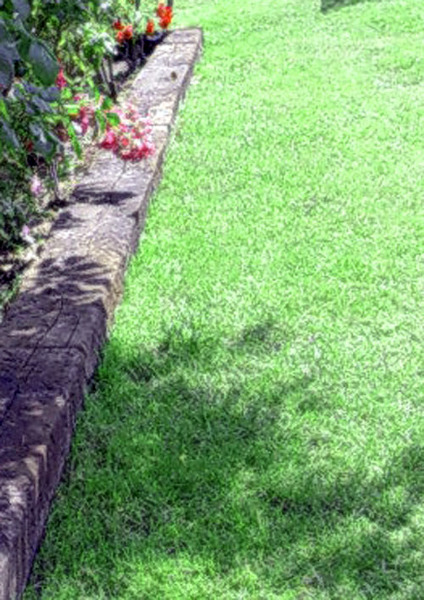 50 € m2  CÉSPED EN TEPES, RIEGO INCLUIDO