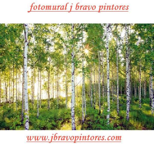 Oferta colocación de fotomurales desde 280€
