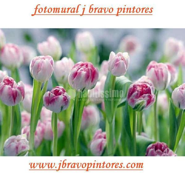 Oferta colocación de fotomurales desde 280€