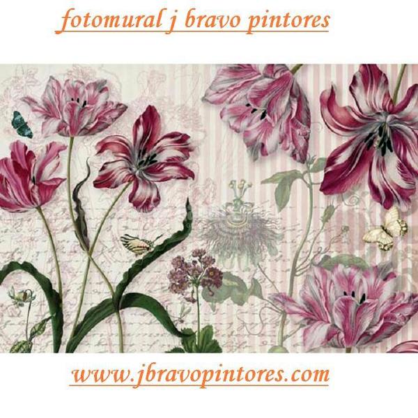 Oferta colocación de fotomurales desde 280€