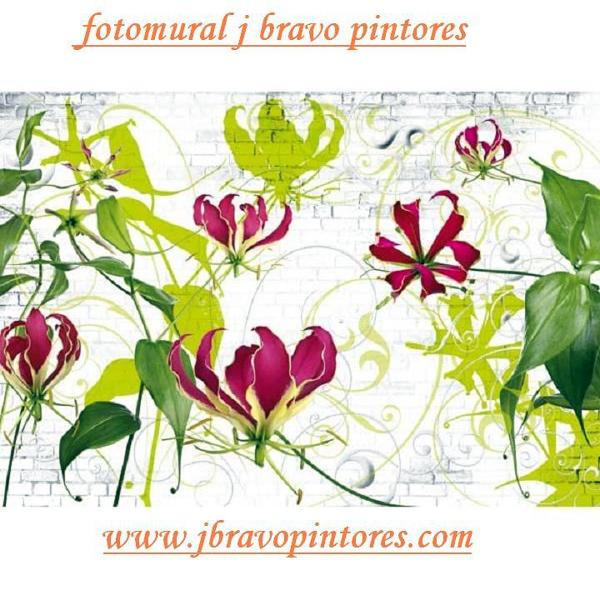 Oferta colocación de fotomurales desde 280€