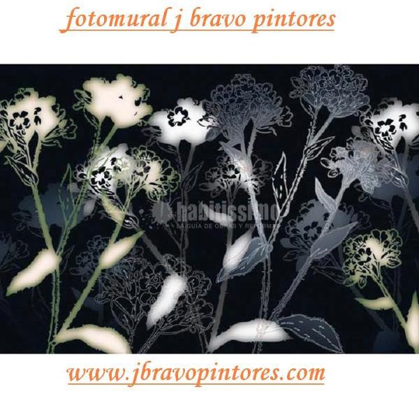 Oferta colocación de fotomurales desde 280€