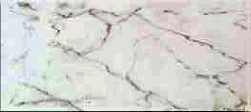 Azulejo CARRARA GRIS 20x45 a 5,95 €/M2 IVA Incl.