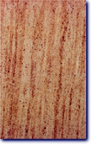 Azulejo LATINO BEIGE 25X40 a 3,95 €/M2 IVA Incl.