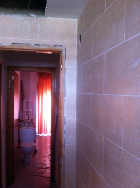 Baño reformado