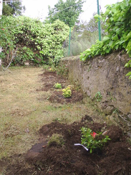 Colocacion de plantas