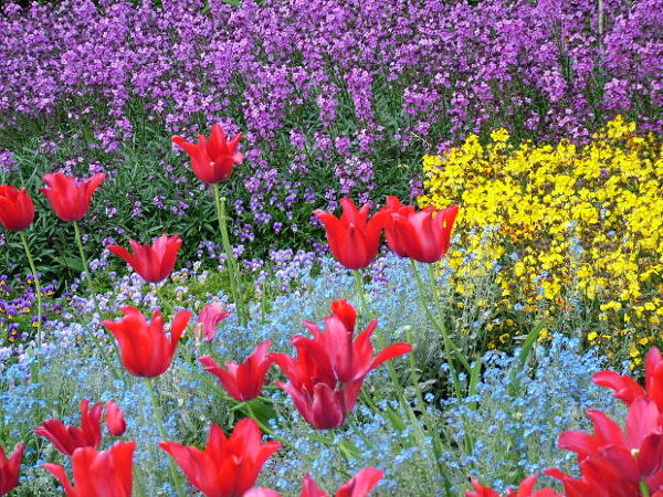 COMPOSICIONES FLORALES