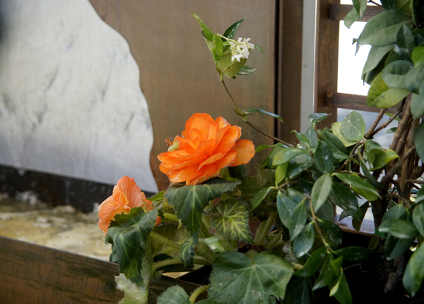 Detalle de la jardinera